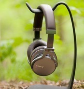 Headphone & Headset Accessories