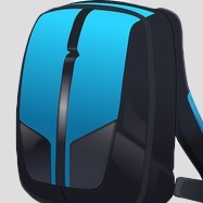 Laptop Bags
