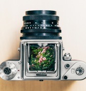 Digital Cameras