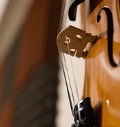 String Instrument Accessories