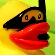 Bath Toys