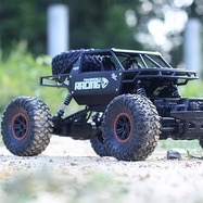 Electronic & RC Toys