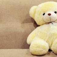 Soft Toys