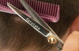Hair Scissors