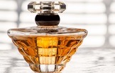 Fragrance