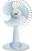 Fans