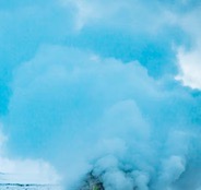 Floor & Steam Cleaners