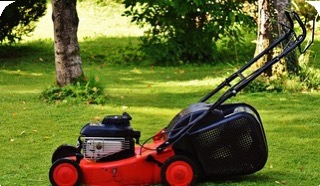 Lawn & Garden