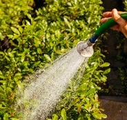 Watering & Irrigation