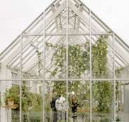 Greenhouses