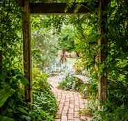 Garden Arches, Trellises, Arbors & Pergolas