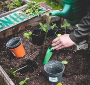 Gardening Accessories