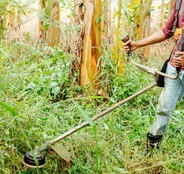 Weed Trimmer Accessories