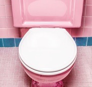 Toilet Seat Covers
