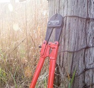 Bolt Cutters
