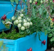 Outdoor Storage Boxes