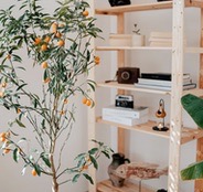 Room Dividers