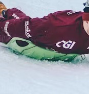 Sledges