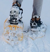Snowshoeing