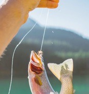 Fishing Hooks
