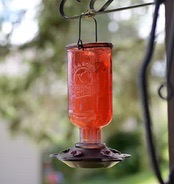 Bird Supplies