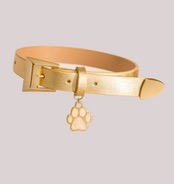 Pet Collars & Harnesses